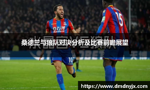 桑德兰与狼队对决分析及比赛前瞻展望